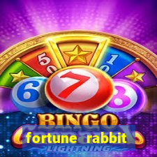 fortune rabbit plataforma nova